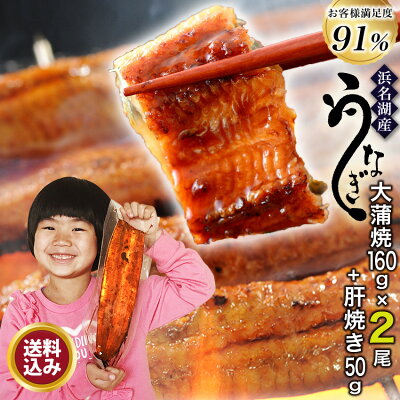 国産うなぎの最高峰 浜名湖うなぎ 大蒲焼160g×2尾+肝焼き ギフト 無添加のタレ使用【 送料無料 】 浜名湖産 ウナギ 鰻 蒲焼 国内産 静岡県産 本格 高級 グルメ あす楽
