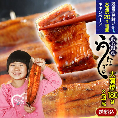 『残暑お見舞い増量キャンペーン』国産うなぎの最高峰 浜名湖うなぎ 大蒲焼160g×3本 ギフト 無添加のタレ使用【送料無料】 浜名湖産 ウナギ 鰻 蒲焼 国内産 静岡県産 お中元 土用の丑 暑中見舞