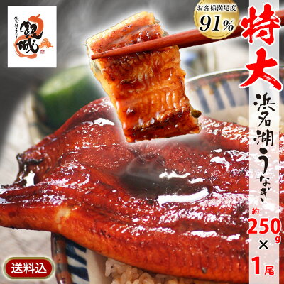 【クーポン利用で30%OFF】【産地限定】浜名湖うなぎ蒲焼き 特大250g×1本 無添加のタレ使用 約2~3人前 ギフト 特大サイズで脂が乗っています♪【送料無料】浜名湖産 ウナギ 鰻 蒲焼 国内産 静岡県産 本格 高級 グルメ 誕生日プレゼント 浜松市