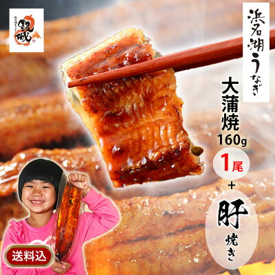 【期間限定】2個ご購入で30%OFF!【産地限定】国産うなぎの最高峰 浜名湖うなぎ 大蒲焼160g+肝焼き 無添加のタレ使用 約2人前 ギフト【送料無料】浜名湖産 ウナギ 鰻 蒲焼 国内産 静岡県産 高級 あす楽 本格 高級 グルメ 誕生日プレゼント 浜松市 母の日 花以外