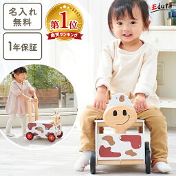 1歳 女の子への誕生日プレゼント 人気ランキング22 ベストプレゼント 1歳 女の子への誕生日プレゼント 人気ランキング22 ベストプレゼント