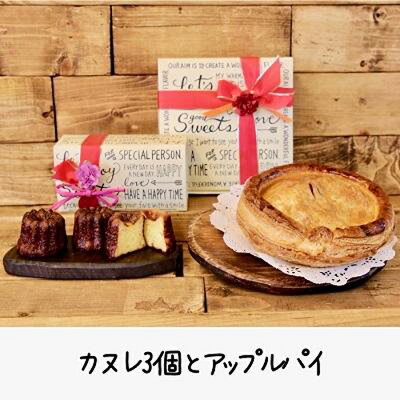 【ふるさと納税】愛され続けて40年のアップルパイと自家製カヌレ | 神奈川県 川崎市 神奈川 川崎 支援 支援品 返礼品 楽天ふるさと 納税 スイーツ スウィーツ スィーツ お取り寄せ お菓子 詰め合わせ お土産 ご当地 焼き菓子 焼菓子 取り寄せ スイーツセット