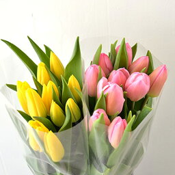 花束 金婚式プレゼント 人気ランキング22 ベストプレゼント 花束 金婚式プレゼント 人気ランキング22 ベストプレゼント