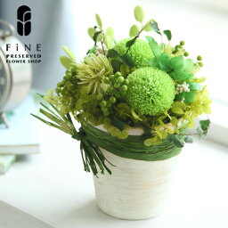 花 陶器 還暦祝いプレゼント 人気ランキング21 ベストプレゼント 花 陶器 還暦祝いプレゼント 人気ランキング21 ベストプレゼント