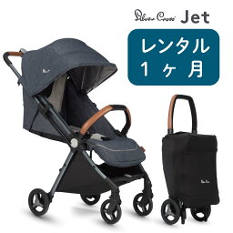 ベビーカー 人気ブランドランキング22 ベストプレゼント ベビーカー 人気ブランドランキング22 ベストプレゼント