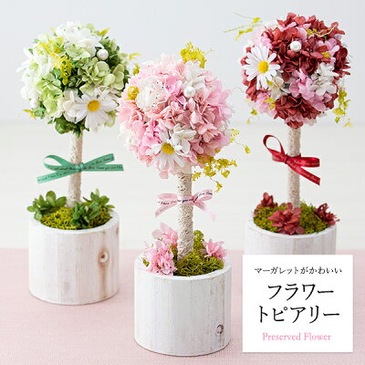 プリザーブドフラワー マーガレットがかわいいフラワートピアリー 花 アジサイ マーガレット フラワーギフト アレンジメント ブリザードフラワー ブリザ 母 妻 記念日 プレゼント ギフト