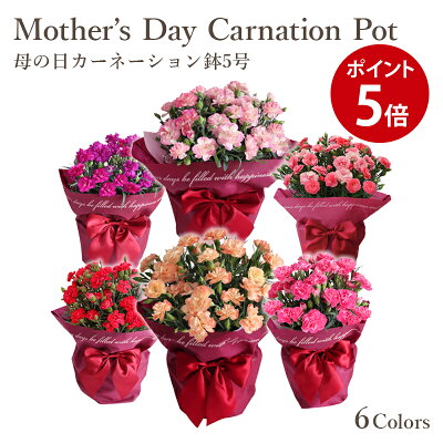 母の日ギフトにおすすめの花の鉢植え 人気ブランドランキングtop18 21年版 ベストプレゼントガイド 母の日ギフトにおすすめの花の鉢植え 人気ブランドランキングtop18 21年版 ベストプレゼントガイド