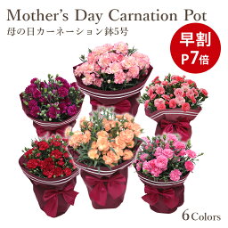 花 鉢 還暦祝いプレゼント 人気ランキング22 ベストプレゼント 花 鉢 還暦祝いプレゼント 人気ランキング22 ベストプレゼント