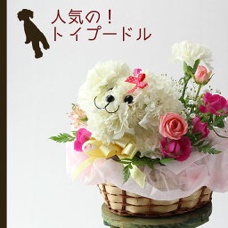 ペット用品ギフト ペットフラワー 人気ブランドランキング21 ベストプレゼント ペット用品ギフト ペットフラワー 人気ブランドランキング21 ベストプレゼント