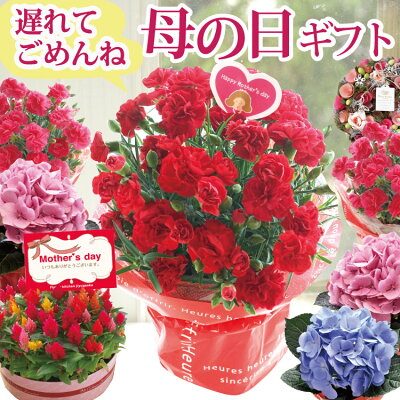 セール \遅れてごめんね/【ポイント3倍】 母の日 プレゼント 花 ギフト 選べる花鉢&リースカーネーション アジサイ ケイトウ アートフラワーリース 母の日ギフト 花鉢 鉢植え リース 5号 送料無料(一部地域を除く)2022 FKHH FKTK