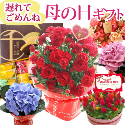 \遅れてごめんね/【ポイント10倍】 銀座千疋屋 母の日ギフト 花とスイーツセットC 選べる4種類 花鉢&リースと銀座千疋屋フルーツクーヘン スイーツセット花ギフト カーネーション アジサイ アートフラワーリーススイーツ 2022 FKHH FKRSL