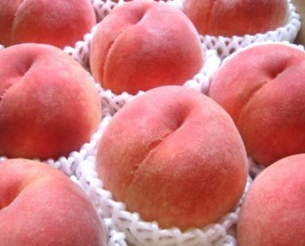 スイーツ 桃 人気ブランドランキング21 ベストプレゼント