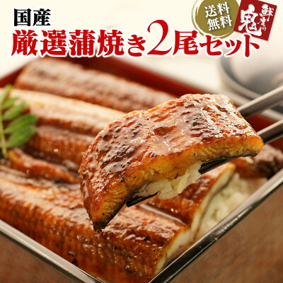 国産うなぎ蒲焼き2尾セット+お吸い物付き 送料無料ウナギ 鰻 蒲焼き 国内産 ギフト 贈り物 高級 魚介 お中元ギフト 敬老の日 うなぎ 国産 ウナギ うなぎ 蒲焼き うなぎ うなぎ 蒲焼き