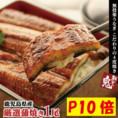 遅れてごめんね 【P10倍】父の日 ギフト 最大3990円OFFクーポン有!完全無投薬!国産 うなぎ 蒲焼き 1尾 (160g) お試し 鰻 蒲焼 ウナギ プレゼント 送料無料