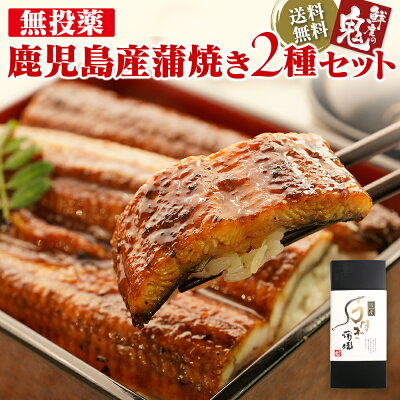 あす楽13時まで即日発送!無投薬!お中元 うなぎ2種セット240g以上!送料無料 【霧島湧き水うなぎ 国産 うなぎ 蒲焼き 鰻 うなぎ ウナギ 敬老の日 土用の丑 ギフト 父の日】
