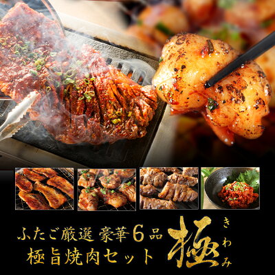 【送料無料】ふたごの焼肉セット「極」 4〜5人前/全6品 とろける絶品ホルモンや極上ハラミが入ったふたご渾身の焼肉セット 焼肉・バーベキューBBQにも! ギフト・ご贈答にも!