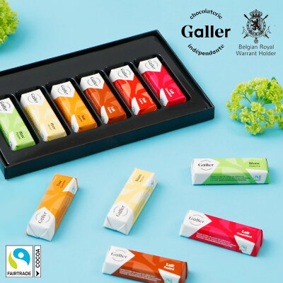 プチギフト お菓子 ベルギー王室御用達 チョコレート ガレー ミニバー6個入 2022 お歳暮 プレゼント チョコ スイーツ ギフト 詰め合わせ 高級 おしゃれ お祝い 内祝い お返し 退職祝い 退職 お礼 挨拶 手土産 お土産 個包装 小分け 会社 職場 法人 1000円 台 お配り用