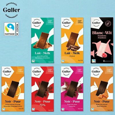 ベルギー王室御用達 ガレー チョコ タブレット 単品 個包装 板チョコ 高級チョコレート スイーツ お菓子 ご自宅用 お配り用 会社 職場 退職 ギフト プレゼント 大量 まとめ買い 粗品 景品 プチギフト 500円 お試し 試食 味見