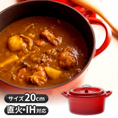 ホーロー鍋 両手 IH対応 鍋 健康調理 無水調理 直火 キャンプ 蒸気循環 鉄鋳物 オーブン対応 食洗器対応 おしゃれ 中村江里子 CASTPOT goodplus+ グッドプラス 母の日キャストポット 20cm レッド
