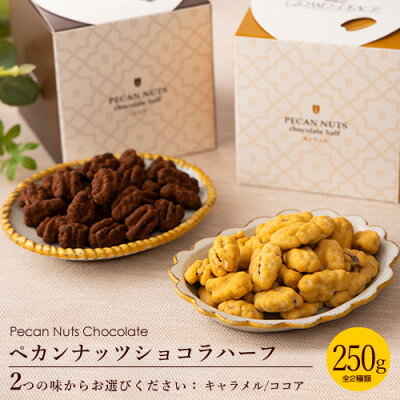 ペカンナッツショコラ ハーフ 250gボックス ※1箱※ ホワイトデー 早割 2021 バレンタインチョコ 義理チョコ お返し チョコレート お菓子 送料無料 プレゼント ギフト スイーツ ピーカンナッツ チョコ かわいい 高級 お取り寄せ あす楽 国産 義理チョコ