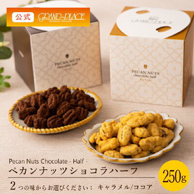 ピーカンナッツ チョコ 送料無料 バレンタイン ホワイトデー お菓子 ペカンナッツ 高級 おしゃれ スイーツ チョコレート プチギフト \バレンタイン早割クーポン配布中/ ペカンナッツショコラ ハーフ 250gボックス※単品※