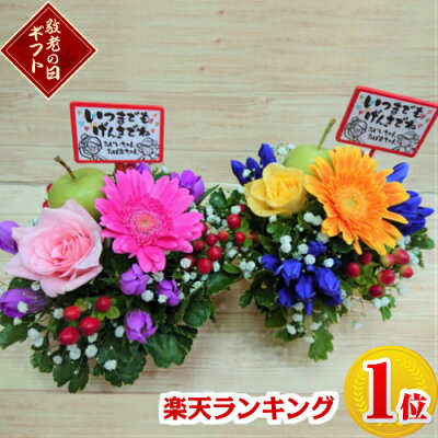 【送料無料・翌日配送】【カラフルポットアレンジメント】【生花・アレンジメント】誕生日/結婚祝い/出産/お祝い/お見舞い/ペット/還暦祝い/フラワーギフト/歓迎 退職/当日配達/即日配達/開店祝/御祝/お祝い/花/卒業/入学/歓送迎/敬老の日