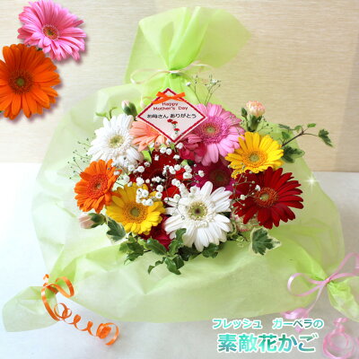 送料無料 (一部地域を除く)【 生花 】フレッシュ・ ガーベラ の素敵花カゴ 誕生日プレゼント 女性 花 ギフト 誕生日 母の日 ギフト フラワーアレンジメント お祝 花 バレンタイン ギフト プレゼント 春 ホワイトデー