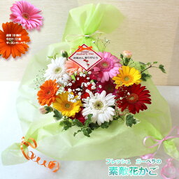 花 ガーベラ 結婚祝いプレゼント 人気ランキング21 ベストプレゼント 花 ガーベラ 結婚祝いプレゼント 人気ランキング21 ベストプレゼント