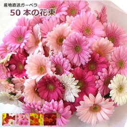 彼氏への花束 人気プレゼントランキング21 ベストプレゼント 彼氏への花束 人気プレゼントランキング21 ベストプレゼント