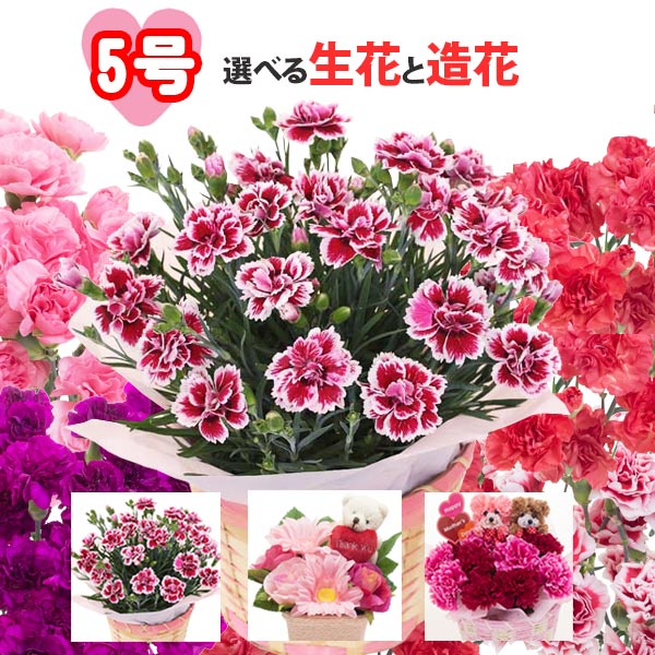 カーネーション 母の日プレゼント 人気ランキング22 ベストプレゼント