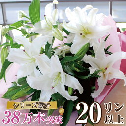 花束 送別会プレゼント 人気ランキング21 ベストプレゼント 花束 送別会プレゼント 人気ランキング21 ベストプレゼント