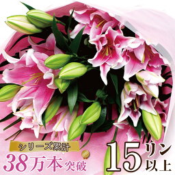 花束 引越 引っ越し祝いプレゼント 人気ランキング21 ベストプレゼント 花束 引越 引っ越し祝いプレゼント 人気ランキング21 ベストプレゼント