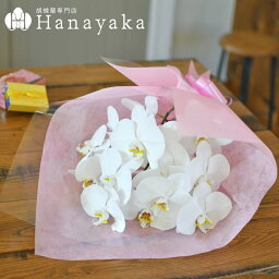 花束 人気ブランドランキング21 ベストプレゼント 花束 人気ブランドランキング21 ベストプレゼント