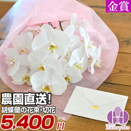 赤ちゃん ベビーへの花束 人気プレゼントランキング21 ベストプレゼント 赤ちゃん ベビーへの花束 人気プレゼントランキング21 ベストプレゼント