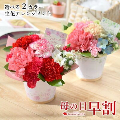 早割 母の日 花 プレゼント ギフト 2023 送料無料 選べる《母の日》生花フラワーアレンジメント お花 カーネーション 母の日ギフト 母の日プレゼント アレンジ 5/9~5/14の間にお届け