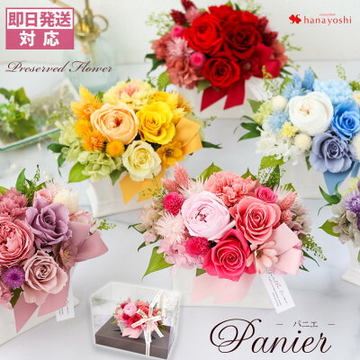 母親が絶対に喜ぶ誕生日プレゼント25選 定番人気や心を込めたおすすめアイテム情報 ベストプレゼントガイド