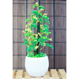 男性 メンズへの観葉植物 人気プレゼントランキング21 ベストプレゼント 男性 メンズへの観葉植物 人気プレゼントランキング21 ベストプレゼント