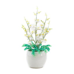 男性 メンズへの観葉植物 人気プレゼントランキング21 ベストプレゼント 男性 メンズへの観葉植物 人気プレゼントランキング21 ベストプレゼント