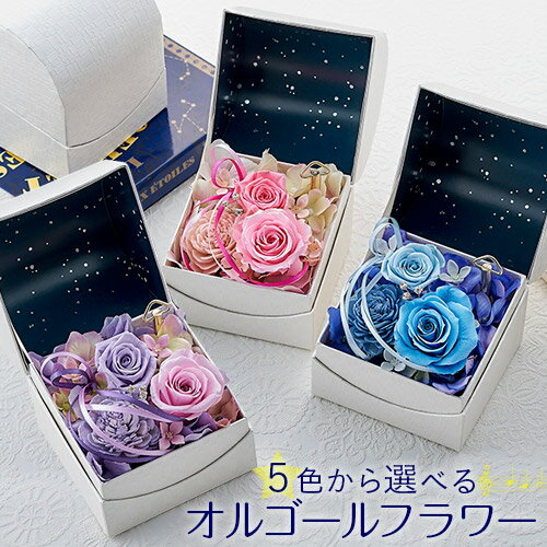 女友達への花 誕生日プレゼント 人気ランキング21 ベストプレゼント