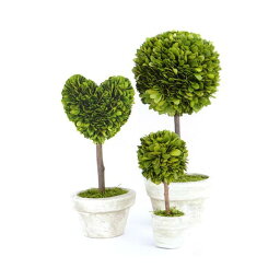 観葉植物 ボックスウッドピアリー 人気ブランドランキング21 ベストプレゼント