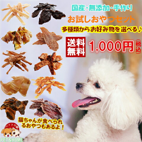犬のおやつ 人気ブランドランキング22 ベストプレゼント