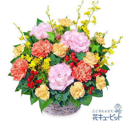 【15時迄の注文で翌日届可】誕生日フラワーギフト 花 誕生日 お祝い 記念日 プレゼント 彼氏彼女 夫婦 祖父母 友達 友人 花キューピットのオレンジカーネーションのアレンジメントya00-512435