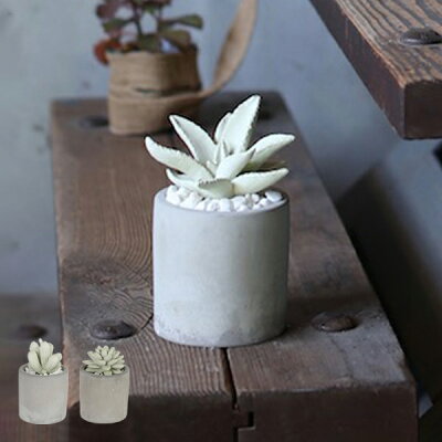 ディフューザー ダルトン DULTON アロエフレグランスディフューザー 多肉植物 ( 芳香剤 ルームフレグランス アロマディフューザー 香り フレグランス アロマオイル アロマグッズ カクタス ガラス 部屋 玄関 洗面所 寝室 トイレ )【39ショップ】