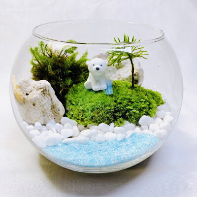苔テラリウム キット ガラスボウル インテリア 可愛い 海の動物たち プレゼント 【on the beach】制作キット 苔インテリア 苔リウム 製作キット 製作キット コケテラリウム お誕生日 おうち時間 ギフト ステイホーム ペンギン 白くま アザラシ