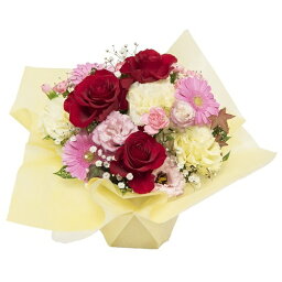 カーネーション 母の日プレゼント 人気ランキング ベストプレゼント