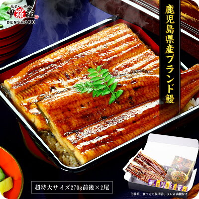 【あす楽OK】希少な超特大サイズ入荷!鹿児島ブランドうなぎ蒲焼き約270g前後×2尾入り※化粧箱、食べ方説明書、タレ&山椒付き【うなぎ】【ウナギ】【鰻】