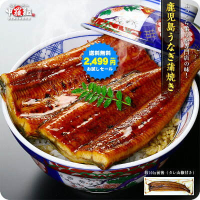 鹿児島ブランドうなぎ送料無料2,499円!更に2尾で500円OFF!3尾で900円OFF!4尾で1,600円OFF!5尾で2,500円OFFクーポンあり!タレ&山椒、食べ方の説明書付き【うなぎ】【ウナギ】【鰻】