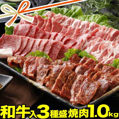 焼肉セット メガ盛り 1kg | 和牛 焼肉 豚カルビ 牛 ハラミ 肉 | 送料無料 | お歳暮 クリスマス プレゼント ギフト 食品 食べ物 内祝い 御祝い グルメ 食べ物 | 肉 焼肉 焼肉セット 牛肉 バーベキュー お肉 和牛 黒毛和牛 冷凍 | 出産内祝い 出産祝い お取り寄せ 肉の日