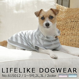 ペット用品ギフト キャットウェア 人気ブランドランキング ベストプレゼント