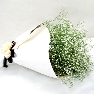 【7日前予約品】 かすみ草 ブーケ ウェディング 『かすみ草 の 花束 』 生花 カスミ草 フラワーギフト お祝い お誕生日 プレゼント ギフト 結婚祝い 還暦祝い 母 女性 贈り物 お見舞い 結婚式 ボリューム バレエ発表会 女友達 ギフト お花 カスミソウ 退職祝い 母の日 成人式